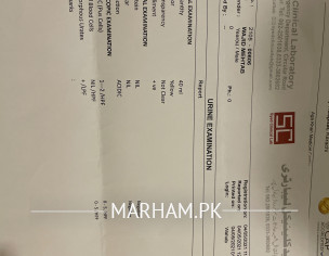 My Reports. 