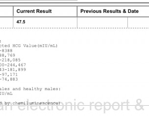 BHCG Test Report