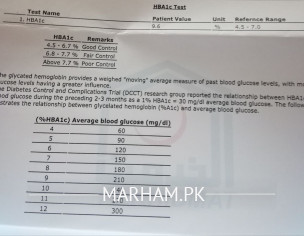 Lab Reports