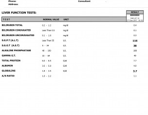 Liver Function Test