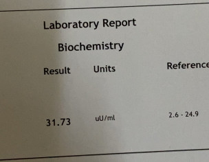 Report Check