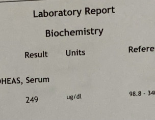 Report Check
