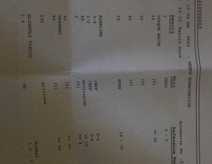 Semen Analysis Report