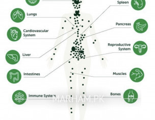 Pain Management 
