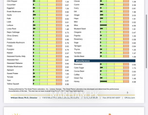 Igg Test Report 