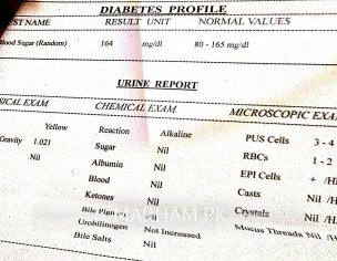 Lab Reports