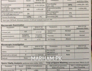 Semen Analysis