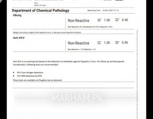 Hapatitus Report