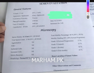 Semen Analysis Report 
