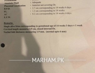 NT Scan Pregnancy 