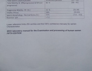 Sperm Analysis Report