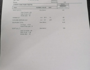 Liver Problem