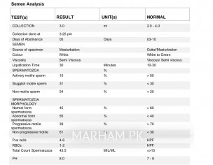 Semen Analysis