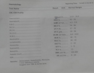 Reports Review