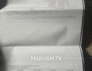 Gastric Stomach Issue 