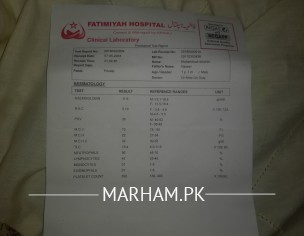 Test Report