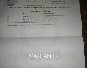 Tests Report