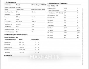 Seman Analysis Report 