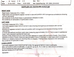 Pain In Left Testicle And Size Decrease
