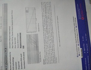 Liver Problem