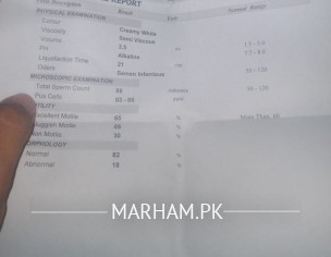 Report Analysis