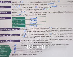 Hepatitis Reports