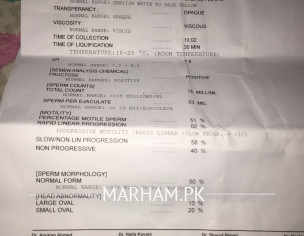 Semens Analysis And Testosterone Report 