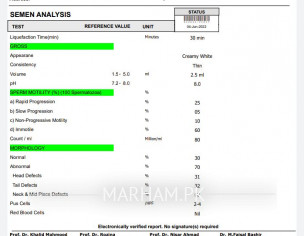 Semen Analysis