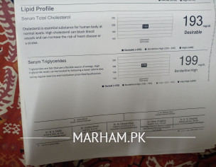 Lipid Profile