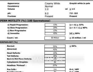 Semen Analysis Report