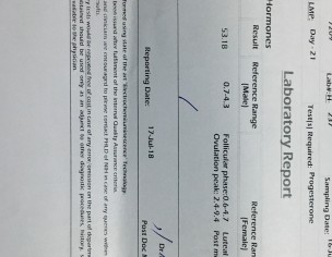 Progesterone Test
