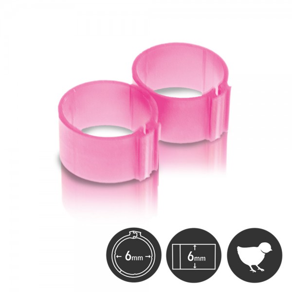 Leg ring 6 mm (PP) with zipconnection / 25 pcs./clear pvc bag