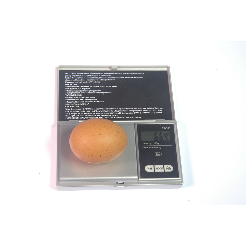 Digital Egg Scale