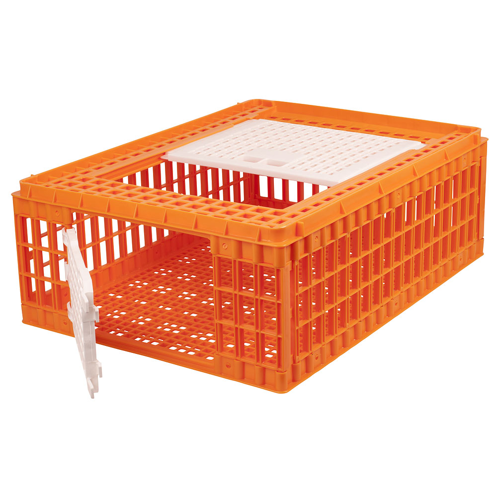 Pack de 30 Pièces, Carton transport volaille