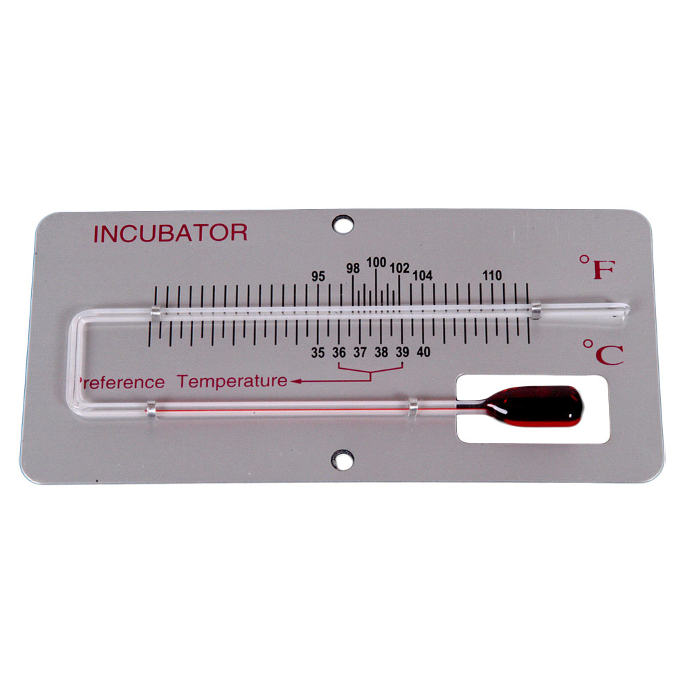 Incubator thermometer on panel Celsius / Fahrenheit