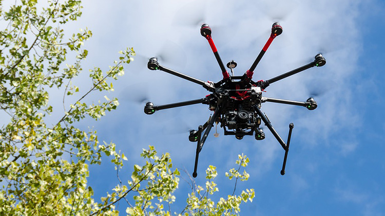 讓非法無所遁形：動保團體用高空無人機，監看地面獵捕行為