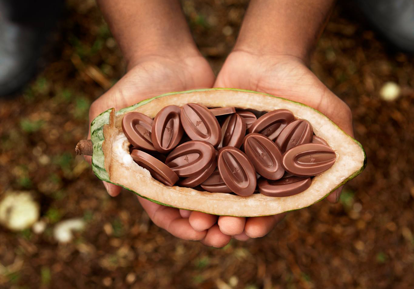 多元、透明、支持貧困供應商——法芙娜 3 項行動成為「對世界最好」的巧克力品牌