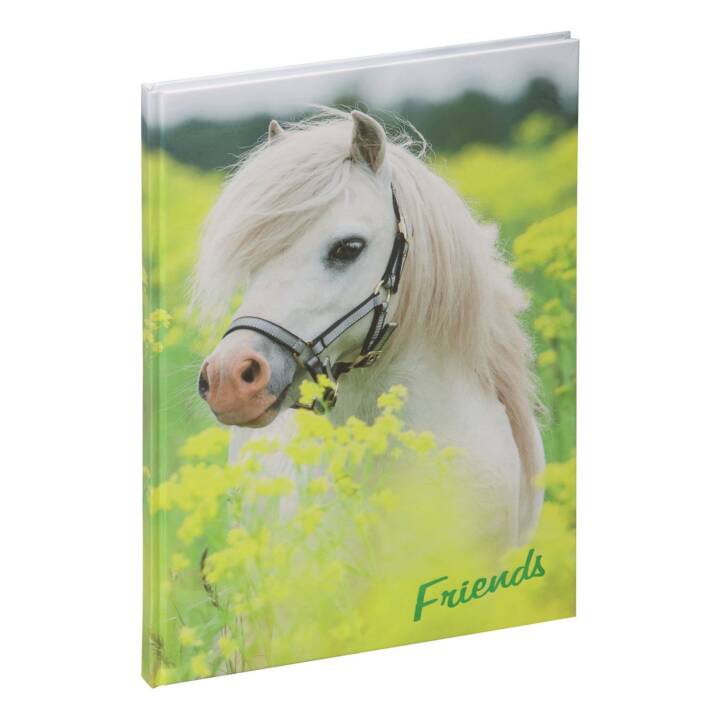 Pagna Friends 60 Seiten Freunde-Buch