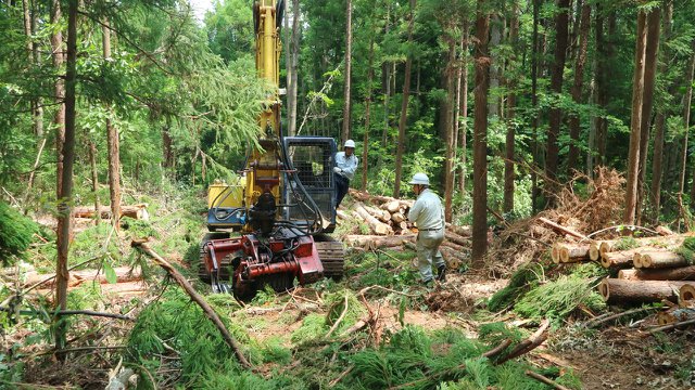 拚五成自給…綠色雇用 日本青年上山去