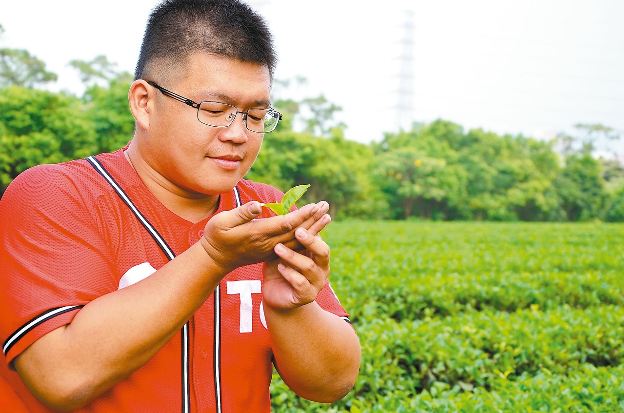 十字弓好手 賣幸福故鄉茶