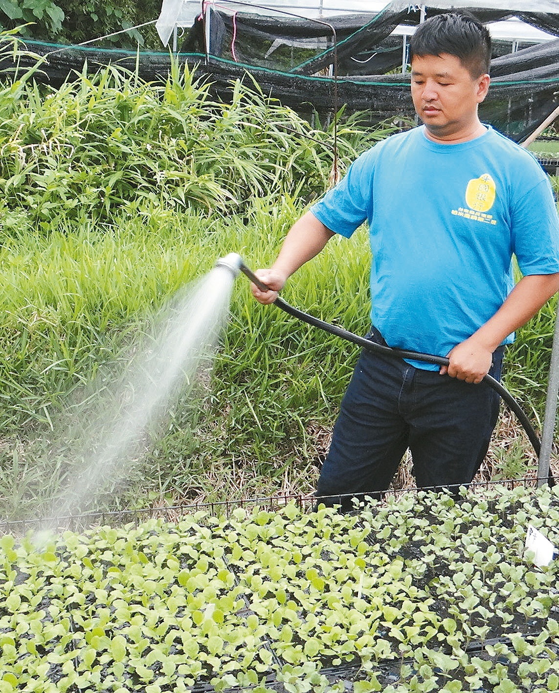 碩士農夫 社群行銷長濱米