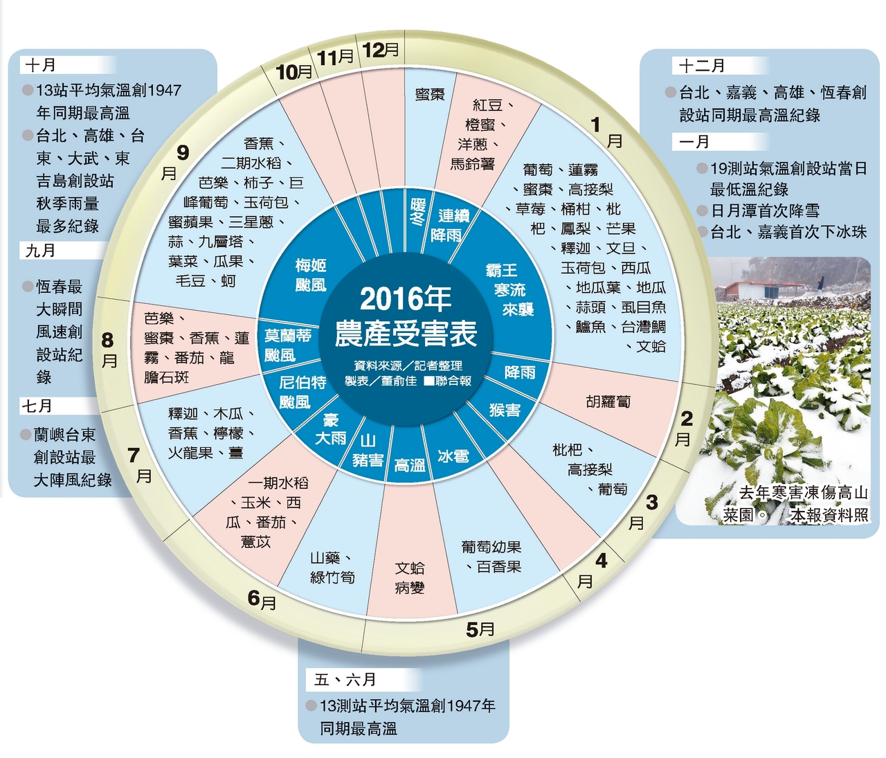 端出對策腳步慢了 2016年農產受害表曝光