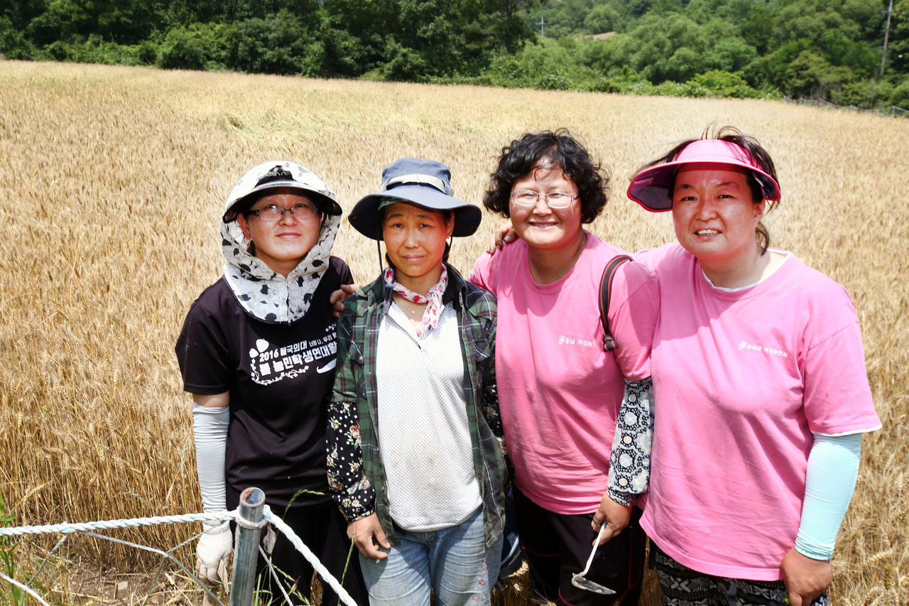 南韓KWPA踏遍農村 她們苦尋「老奶奶的種子」