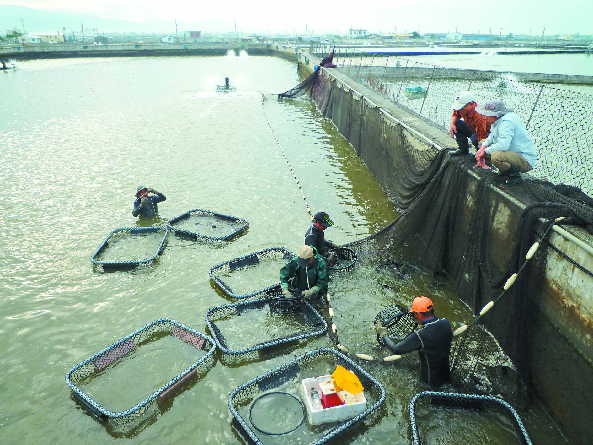 地下水鹽化 屏東引溪水挹注