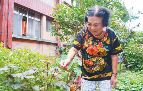 顧花圃、瘋投籃 「安養」樂活老人