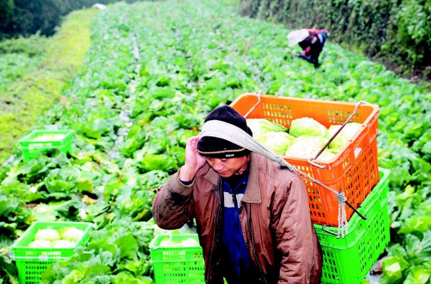 社會企業 做公益也要會做生意