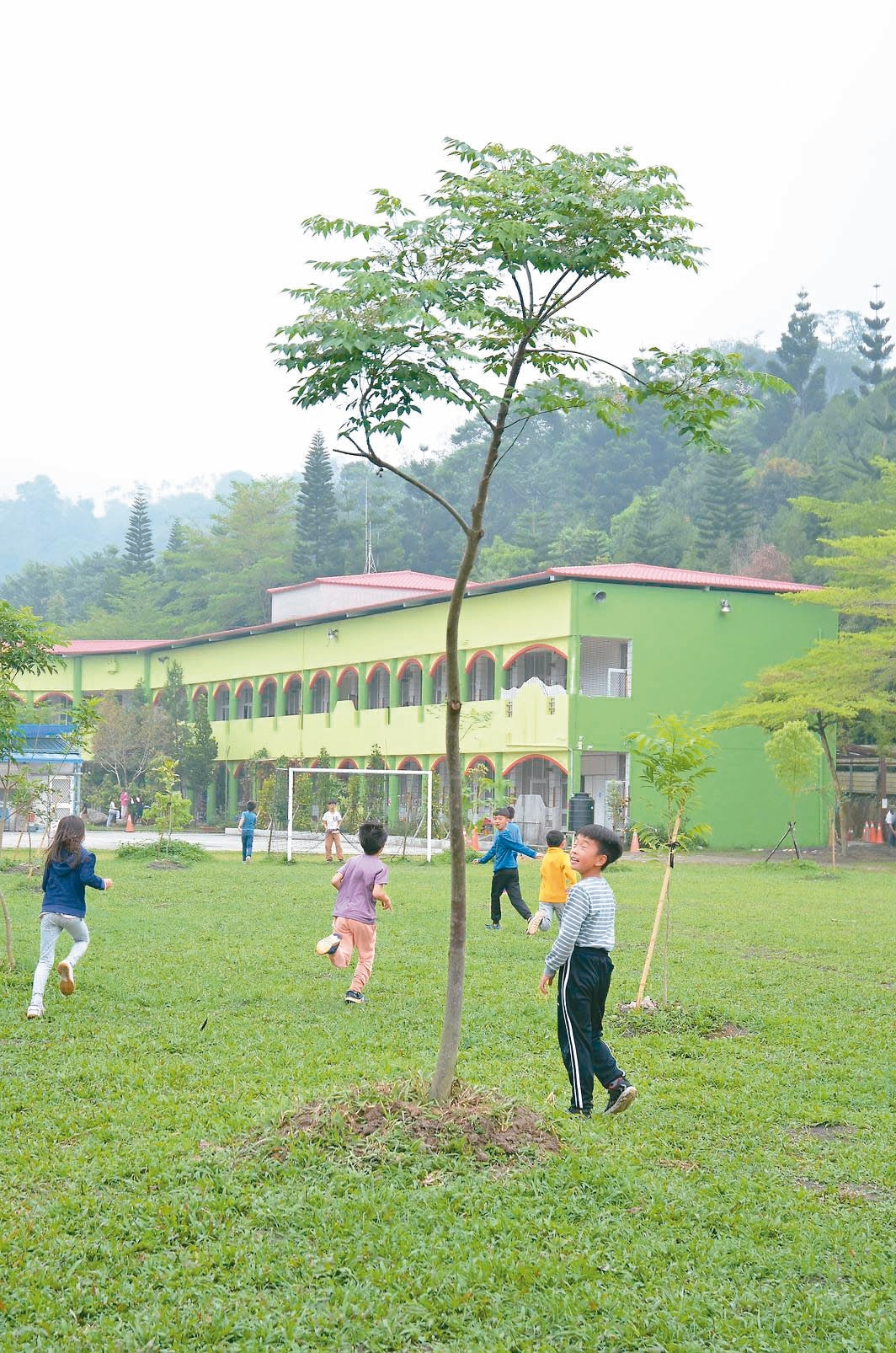 樹下的同學會…傳承責任 照顧班樹 滋養孩子