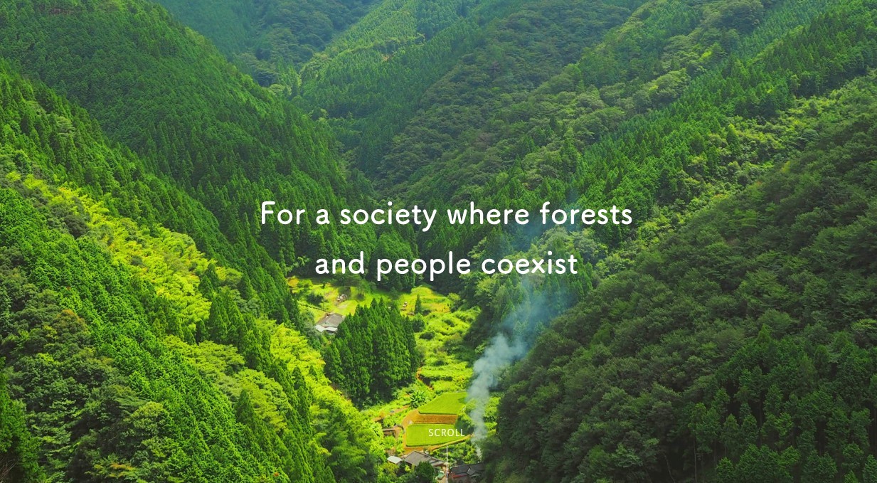 坂本龍一：當森林崩壞 文明也滅亡  種更多樹吧 !!  