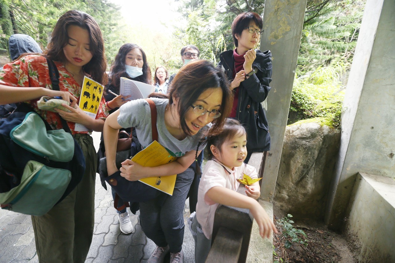 回響／逛動物園只花10秒？ 動物評鑑翻轉打卡式參觀