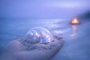 Beach Bonfires And Birth‑Chart Seashells